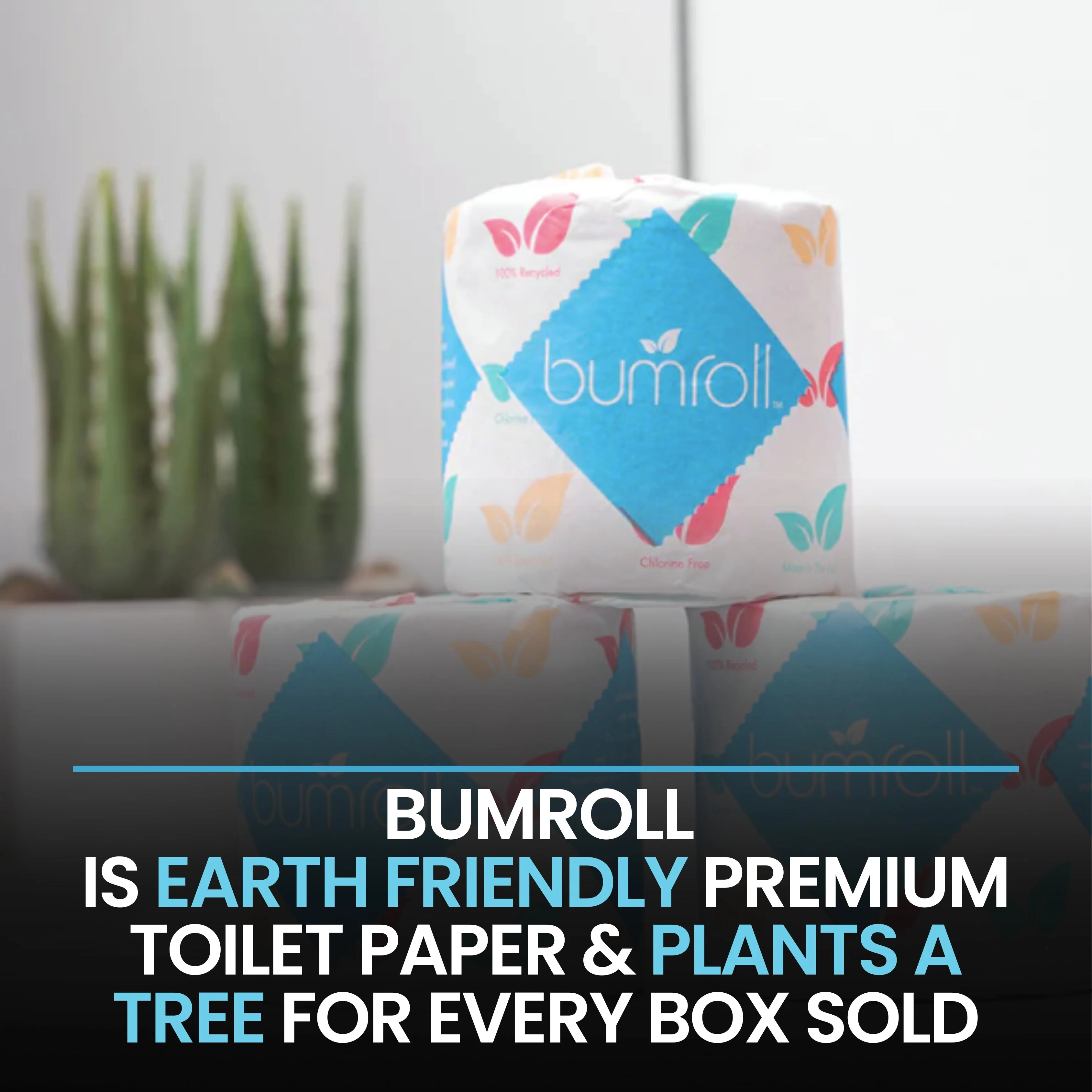 Bumroll Premium Toilet Paper And Towel Rolls - Made In The USA - Image 6