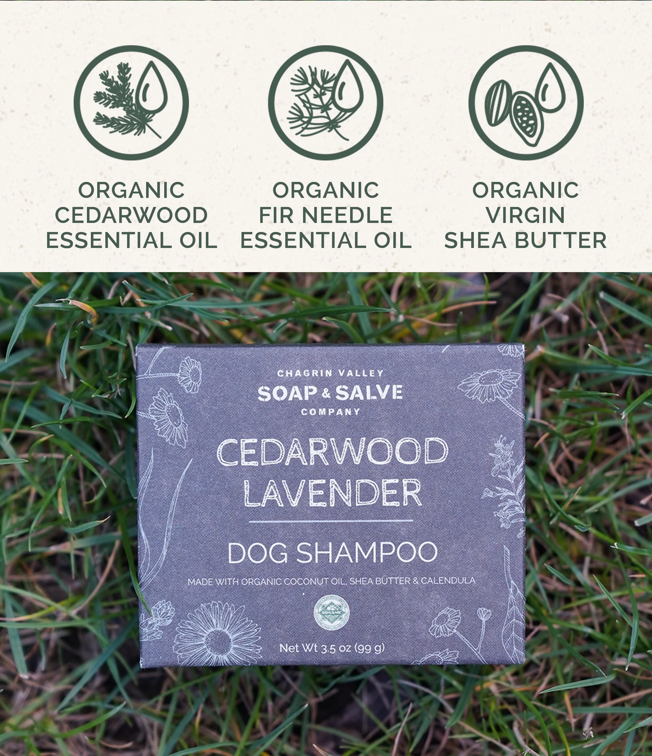 Dog Shampoo: Cedarwood Lavender - Image 3