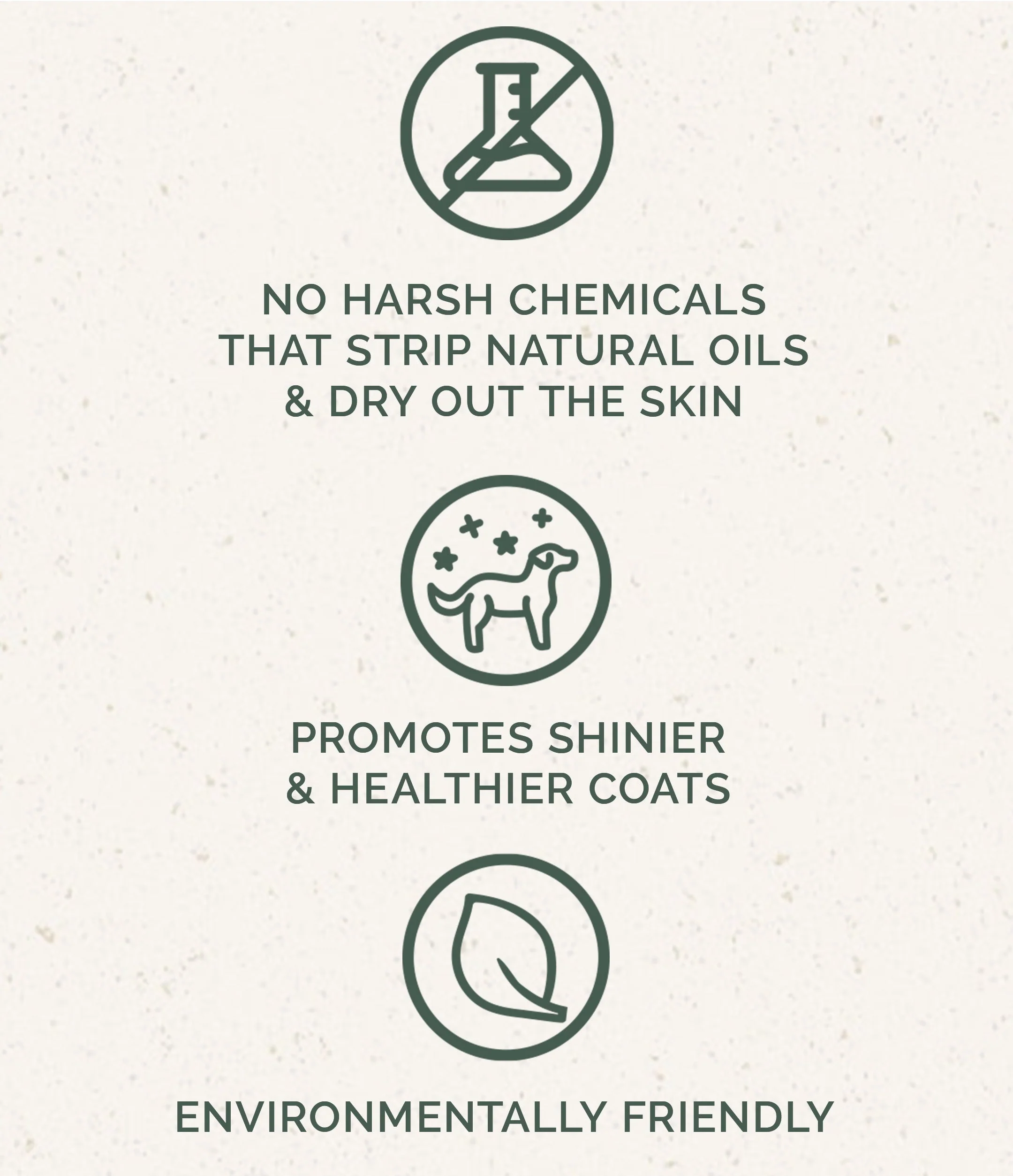 Dog Shampoo: Cedarwood Lavender - Image 4