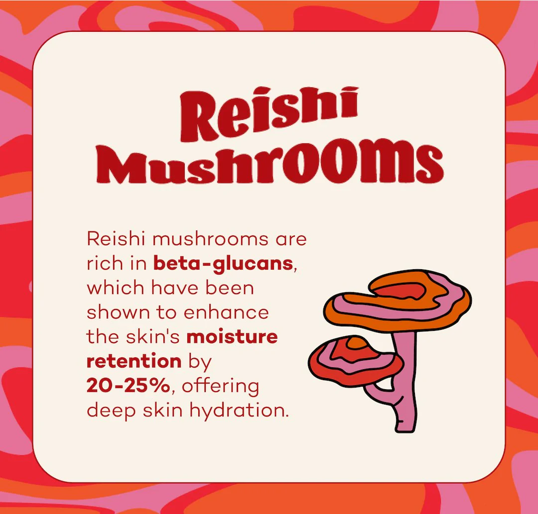 Fungdation - Mushroom Foundation - Image 6