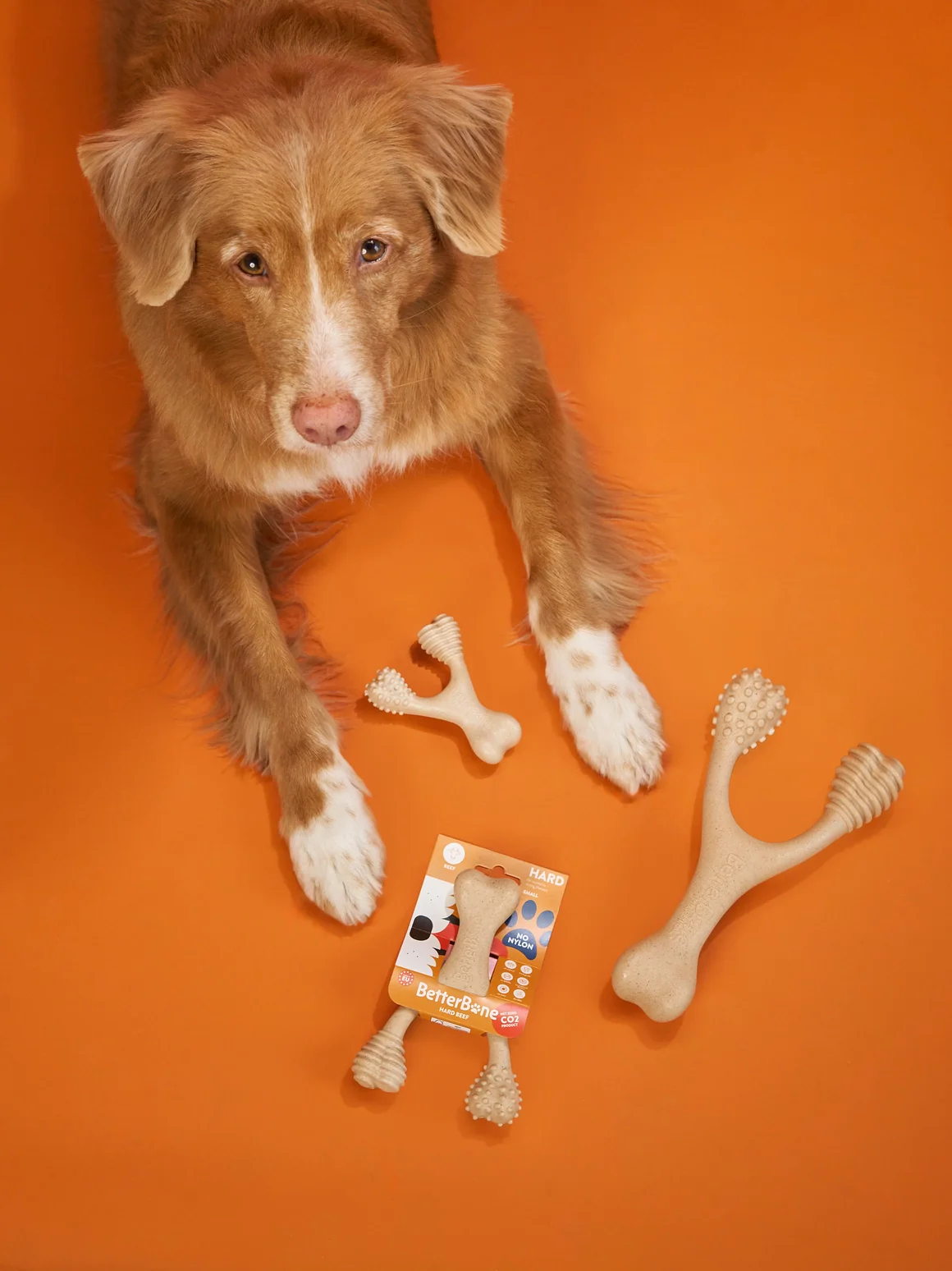Unflavored Dog Chew Toy - Hard - Image 5
