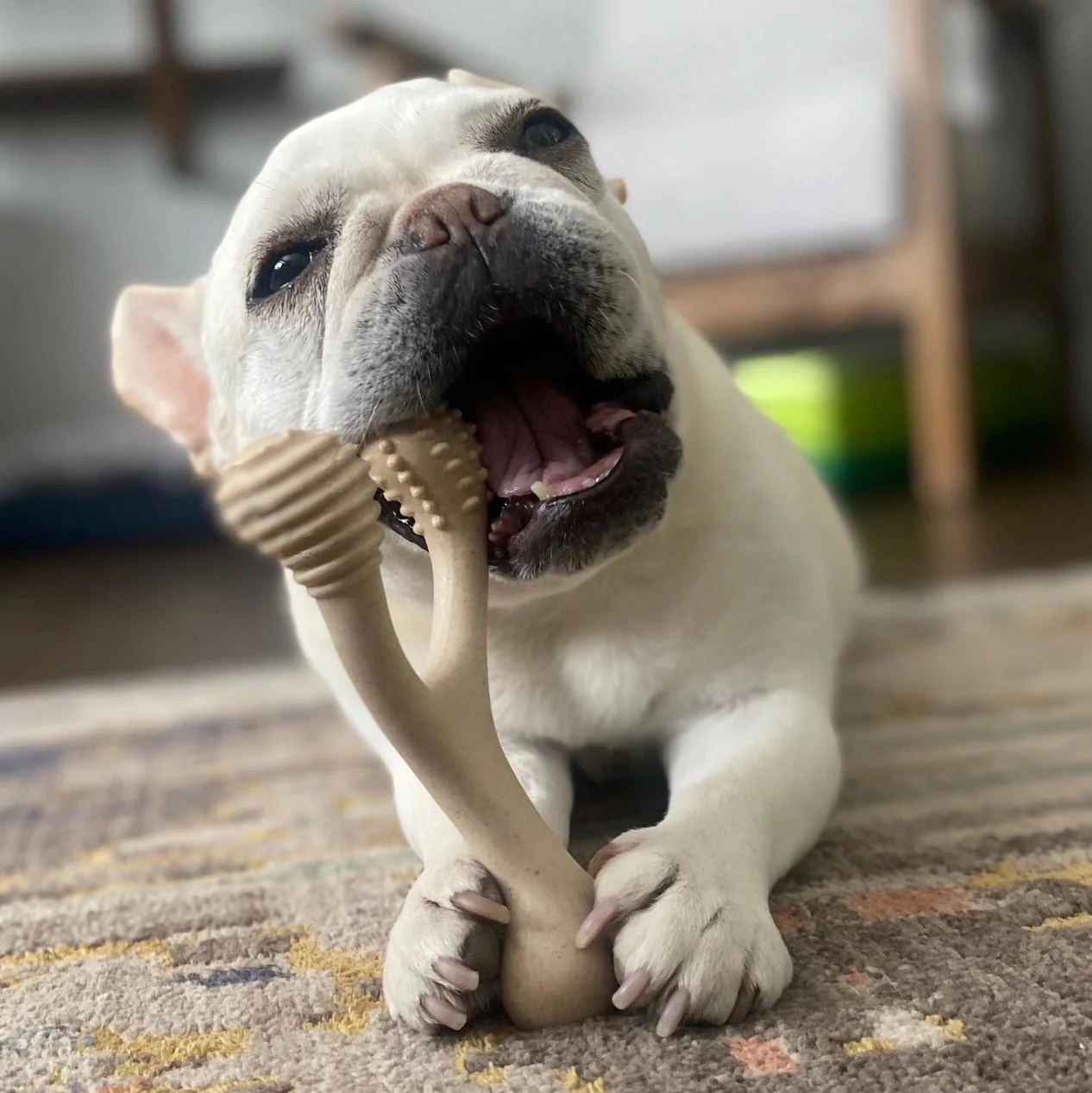 Unflavored Dog Chew Toy - Hard - Image 7
