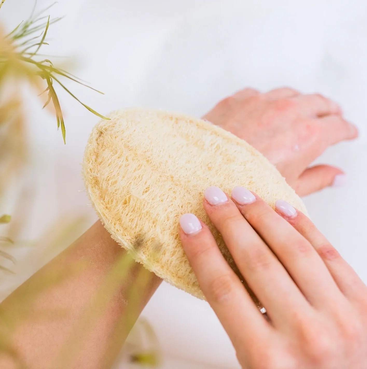 Large Exfoliating Loofah - Oval (Vegan) - Image 4