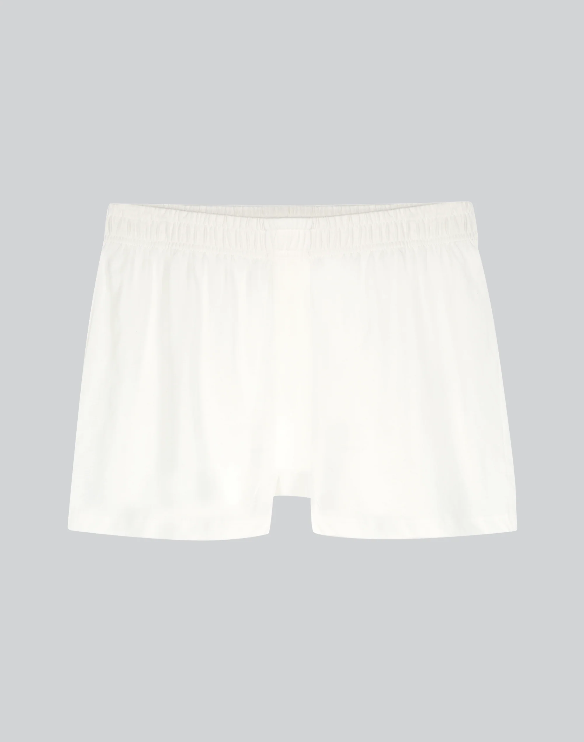 Men's Compostable Organic Cotton Brief (4 Color Options) - Image 3