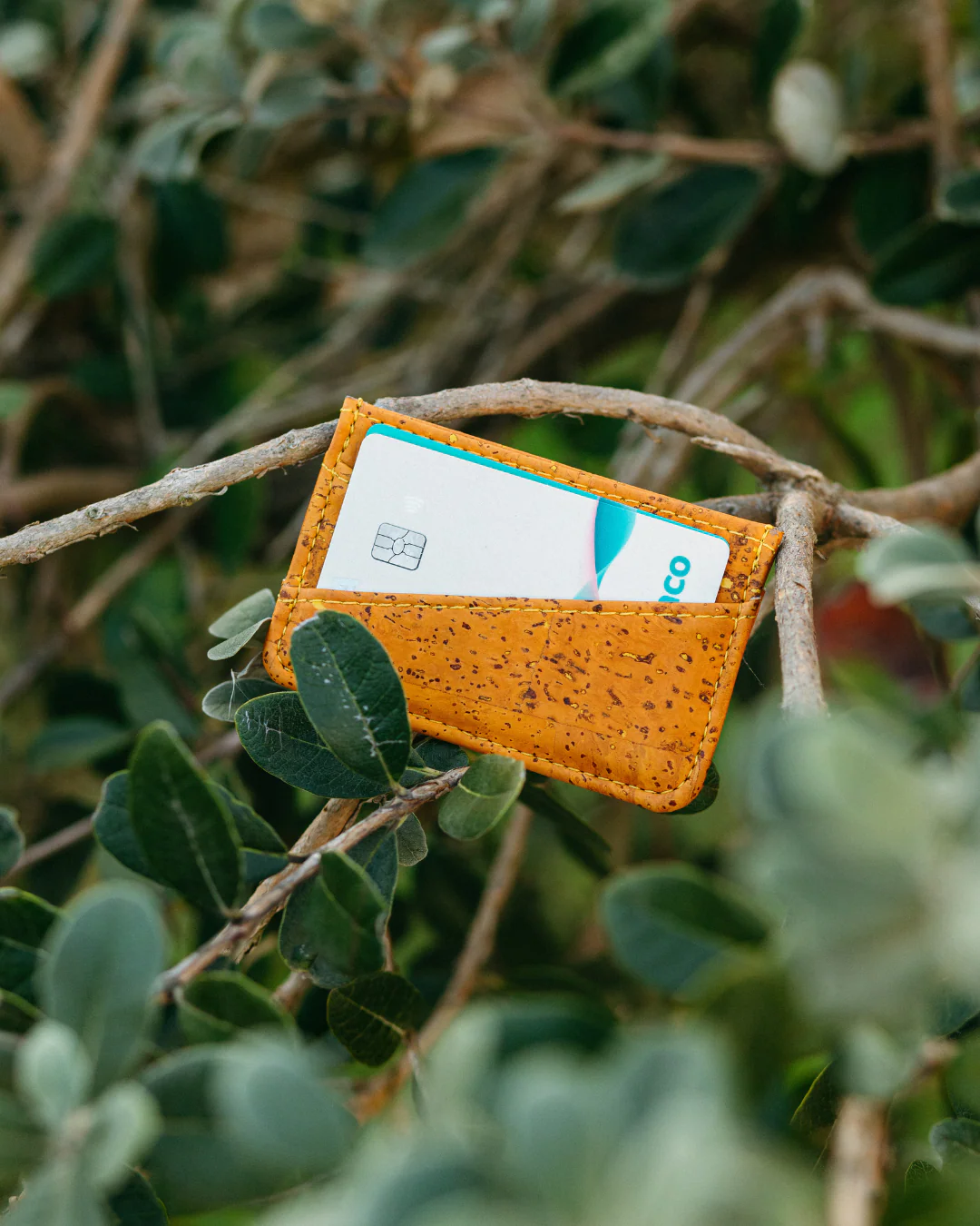 Cork Cardholder - Image 8