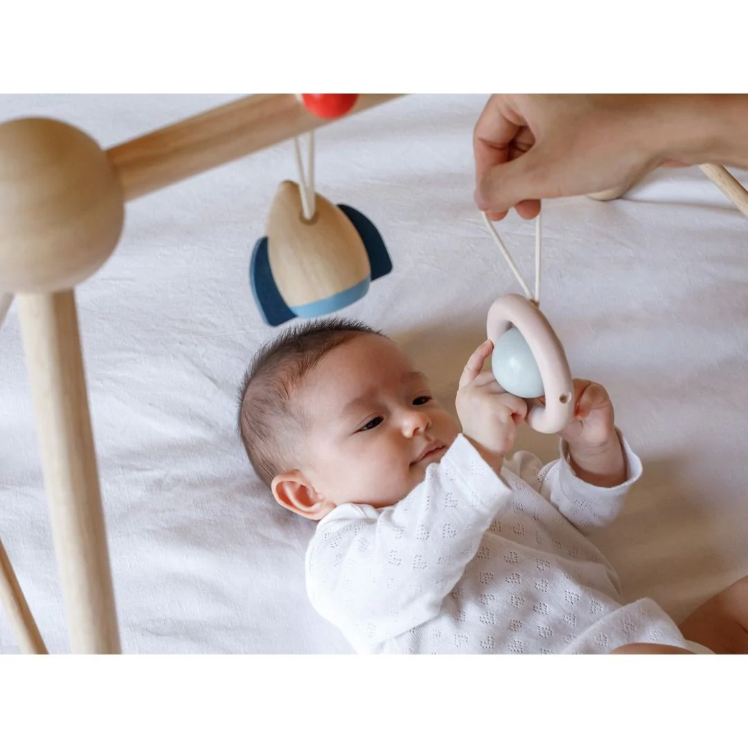 Baby Play Gym - Orchard - Image 4