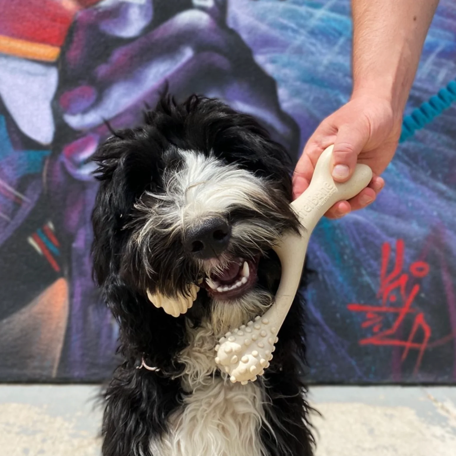 Unflavored Dog Chew Toy - Soft - Image 10