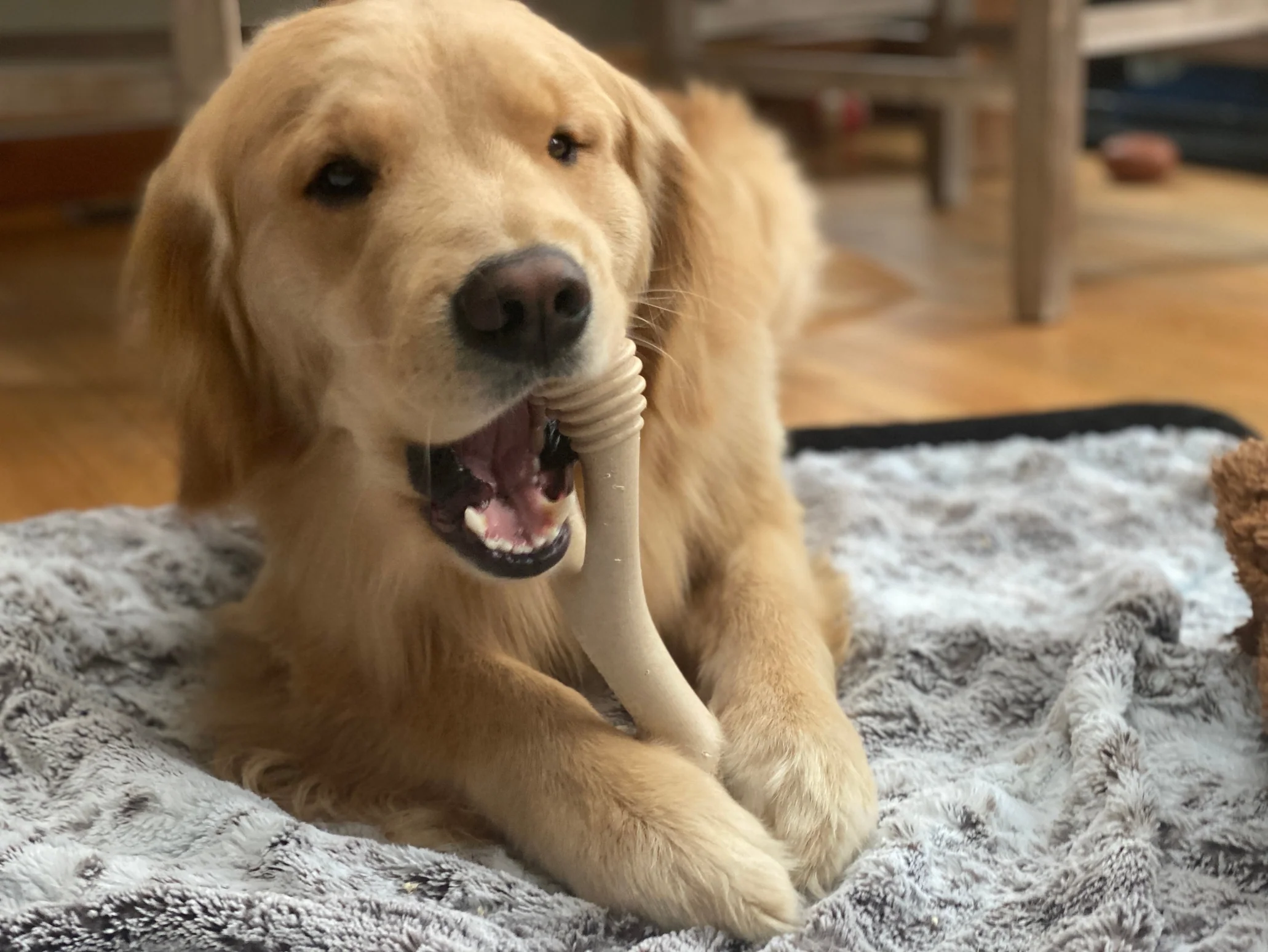 Unflavored Dog Chew Toy - Soft - Image 8